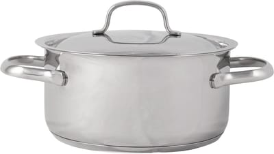 Daily Kookpot Met Deksel D18xh9cm Roestvrij Staal 2l