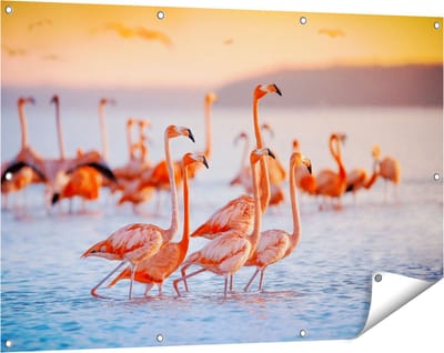 Gards Tuinposter Kudde Flamingo's in het Water - 120x80 cm - Tuindoek - Tuindecoratie - Wanddecoratie buiten - Tuinschilderij