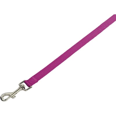 Nobby Classic Hondenlijn - Nylon - S - Framboos - Breedte 15 mm - Lengte 120 cm