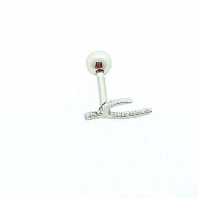 Aramat Jewels | Piercings | Fantasie Helixpiercing - Zilverkleurige Helix Piercing | | | |10mm | Staal | Volwassenen | Verkleurd niet