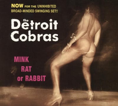 Mink Rat Or Rabbit