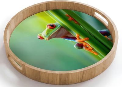 Dienblad rond 40x40 cm - Schootdienblad hout - Groene kikker - Nieuwsgierig - Gras - Borrelplank rechthoek - Plateau houten dienbladen