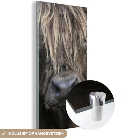 MuchoWow® Glasschilderij 20x40 cm - Schilderij acrylglas - Schotse Hooglander - Bruin - Neus - Foto op glas - Schilderijen