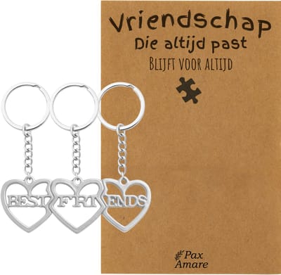BFF Sleutelhanger voor 3 'Vriendschap die altijd past' - 3 hartjes - Sleutelhanger set op Cadeau Kaartje - Zilverkleurig - Vriendschap Symbool - Pax Amare