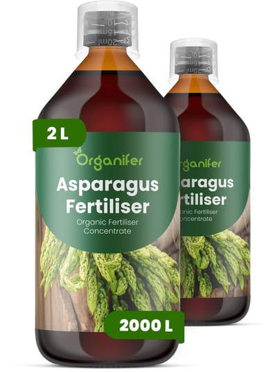 Vloeibare Meststof Voor Asperge 2X1L Voor 2000 L - Npk 2-1-8 - Krachtige Scheutproductie - Scheutdikte - Oogst Kwaliteit - Meerjarige Wortelstokken - Voorjaarsuitloop - Hittebestendig Waterregulatie - Diepe Wortelgroei - Loofgroei - Organifer