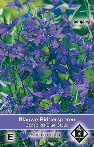 Van Hemert & Co - Ridderspoor Blue Cloud (Consolida)