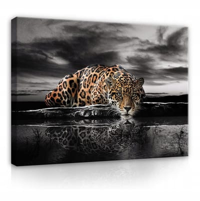 WALLARENA - Canvas schilderij - 100x70 cm - afbeelding van een tijger, jaguar en cheeta