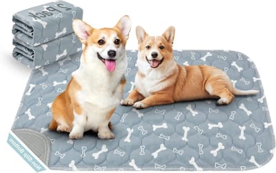 Wasbare Puppy Training Pads - Herbruikbare Urine Pads voor Honden, Katten en Kleine Dieren - 40x60 cm, Ideaal voor Incontinentie en Zindelijkheidstraining