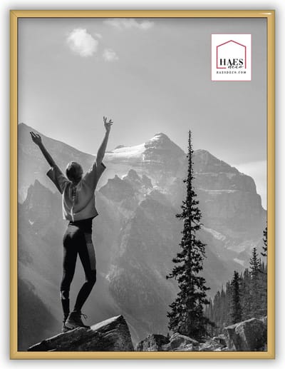 HAES DECO - Kunststof fotolijst 30x40 goud Easy Frame - EF5G