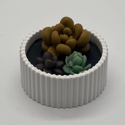 Kaars in glazen pot - cactus collectie - 790