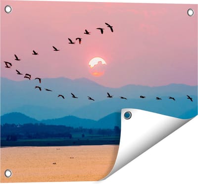 Gards Tuinposter Silhouet van Zwerm Vogels bij Zonsondergang - 50x40 cm - Tuindoek - Tuindecoratie - Wanddecoratie buiten - Tuinschilderij
