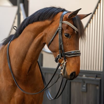 HB Showtime Stang en Trens Hoofdstel One in a Million - Zwart-Zilver-Cob