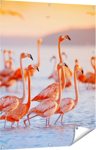 Gards Tuinposter Kudde Flamingo's in het Water - 90x120 cm - Tuindoek - Tuindecoratie - Wanddecoratie buiten - Tuinschilderij