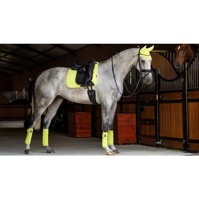 Dressuurmat voor paarden LeMieux Suede