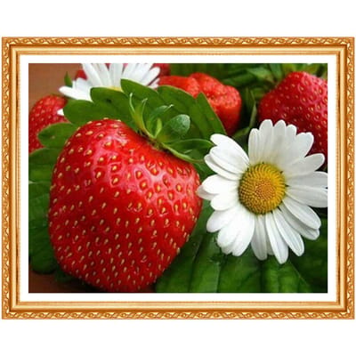 Broderie Diamant Fraise & Marguerite Peinture Diamant Complète Fleurs pour la Chambre Fresque Diamant 20X30CM red
