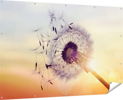 Gards Tuinposter Paardenbloem tijdens Zonsondergang - 180x120 cm - Tuindoek - Tuindecoratie - Wanddecoratie buiten - Tuinschilderij