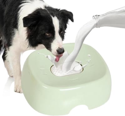 Honden Lik Bal - Voerbak Puppy - Langzaam Eten - Omvalvrij Ontwerp - 18.5 cm - Groen