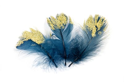 HOBI - 20 koningsblauwe en goudglitter veren 7,5 cm voor tafeldecoratie