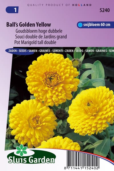 Sluis Garden - Goudsbloem Ball's Golden Yellow