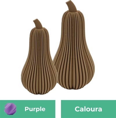 Caloura pompoen beeld set – Decoratief beeld - Paars - 3d geprinte beeld – Herfst woondecoratie - 11CM & 14CM