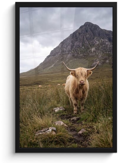 Poster in lijst - Fotolijst 40x60 cm - Posters - Schotse hooglander - Bergen - Grasveld - Posterlijst zwart - Decoratie - Wanddecoratie woonkamer - Muurdecoratie slaapkamer