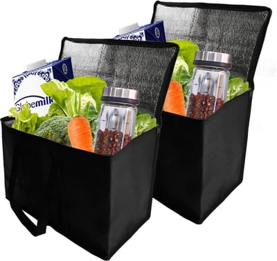 Set van 2 Vouwbare Koeltassen met Stevige Handvatten, Grote Thermische Tassen voor Picknick en Buitenshuis Gebruik