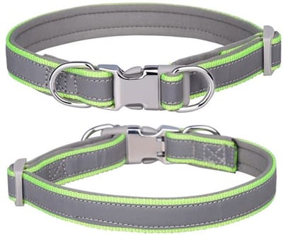 Allecto - Reflecterende nylon halsband - Verstelbare halsbanden voor