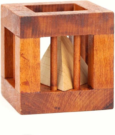 Logica Puzzles art. Houten Set 12 in 1-3D Houten Hersenkrakers - Allemaal Moeilijkheden - Leonardo da Vinci Puzzel Set