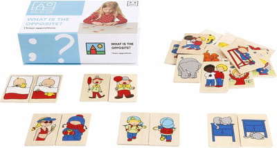Toys for Life 'Wat is het tegenovergesteld?' - Tegengestelde vormen leren - Educatief speelgoed - Houten speelgoed - Sensorisch speelgoed - Spelend leren - Eduactief speelgoed 3 tot 6 jaar