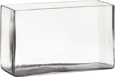 Hakbijl Glass Vaas - transparant - rechthoek - glas - 25 x 10 x 15 cm - Bloemstukje/terrarium vaas
