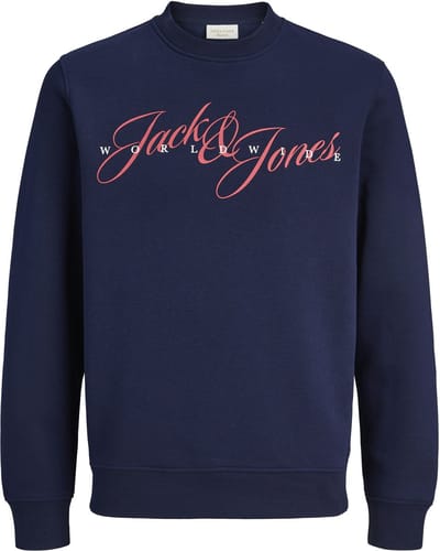 JACK&JONES - JORINWOOD SWEAT CREW NECK FST PLS - Heren - Sweaters