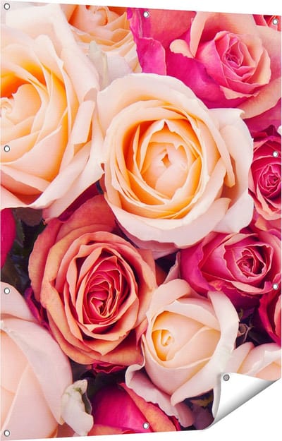 Gards Tuinposter Roze Rozen Achtergrond - Bloemen - 90x120 cm - Tuindoek - Tuindecoratie - Wanddecoratie buiten - Tuinschilderij