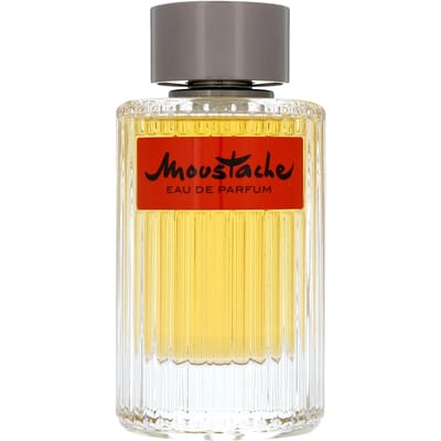 Rochas Snor Eau de Parfum Spray voor Mannen - 125 ml