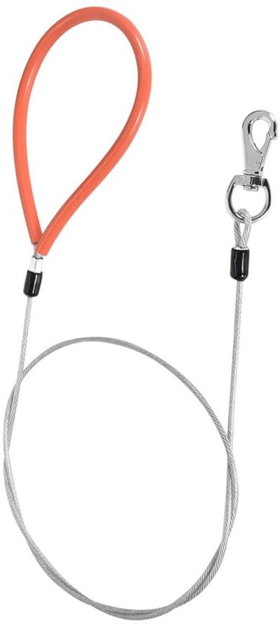 Dailygoods- Hondenriem 2 meter - Kauwbestendig - Robuust - Gevlochten
