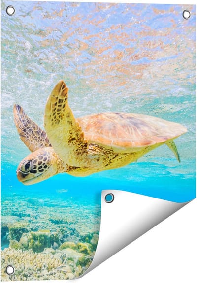 Gards Tuinposter Schildpad Zwemt in de Zee bij het Rif - 40x50 cm - Tuindoek - Tuindecoratie - Wanddecoratie buiten - Tuinschilderij
