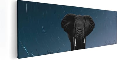 Artaza Canvas Schilderij Dierenkop Olifant - 60x20 cm - Muurdecoratie Wilde Dieren - Wanddecoratie Woonkamer - Kamer Accessoires Sterrenhemel