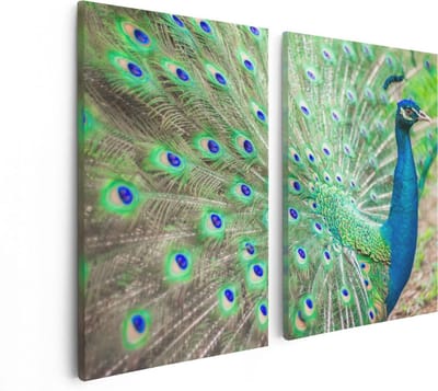 Artaza Canvas Schilderij Tweeluik Pauw Met Kleurrijke Veren  - 80x60 - Foto Op Canvas - Canvas Print