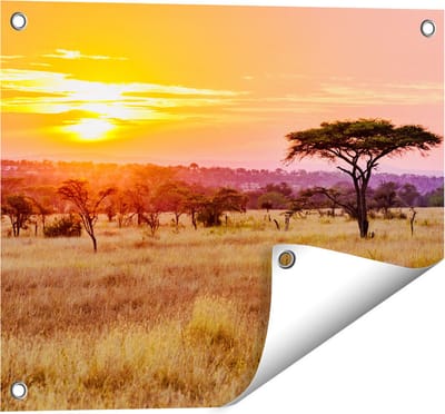 Gards Tuinposter Zonsondergang in de Savanne - 50x40 cm - Tuindoek - Tuindecoratie - Wanddecoratie buiten - Tuinschilderij