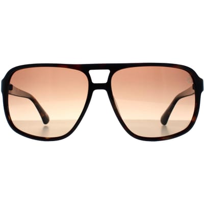 Timberland Aviator Heren Donker Havana Bruin Gepolariseerd TB00031