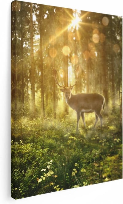 Artaza Canvas Schilderij Hert In Bos - 30x40 cm - Klein - Wanddecoratie Zonlicht - Muurdecoratie Natuur - Kamer Accessoires