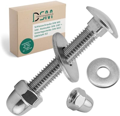 Slotschroeven Set - Bout met Moer - Stabiele Verbindingen - Roestvrij Staal A2/V2A - M6 x 40 mm - 100 Stuks