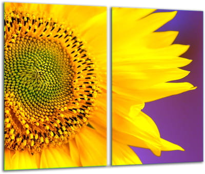 TMK ArtDeko - Snijplank - 2x 30x52 cm - Glazen Bloemenmotief - Veilig