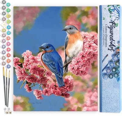 Figured'Art Schilderen op Nummer Volwassenen canvas Blauw vogelpaar - Handwerk acrylverf Kit DIY Compleet - 40x50cm zonder frame