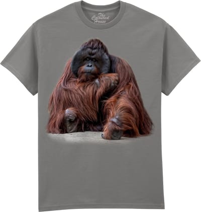 Orangoetan Wisdom Beyond Words - Orangutan The Coloured House T-shirt XL