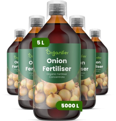 Vloeibare Meststof Voor Ui 5X1 L Voor 5000 L - Npk 2-1-8 - Verbetert Bolgrootte - Stevigheid En Bewaarpotentieel - Ondersteunt Sterke Wortelstelsels Voor Een Stabiele Opname Van Voedingsstoffen - Ideaal Voor Alle Uientypen - Organifer