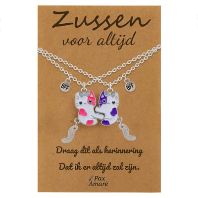 BFF Ketting voor 2 'Zussen voor altijd' - Magnetische Katjes - Vriendschapsketting op Cadeau Kaartje - 45cm + 5cm verstelbaar - Zilverkleurig - Sisters Hanger - Pax Amare