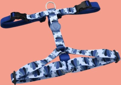 Morso - Hondentuig H-Tuig Gerecycled Splash Blauw