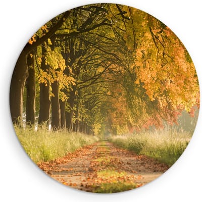 Saammp Muurcirkel Hout - Bospad - Nederland - Landschap - Natuur - Ø 90 - Wandcirkel - Wanddecoratie Cirkel - Muurdecoratie Woonkamer - Slaapkamer decoratie - Rond Schilderij