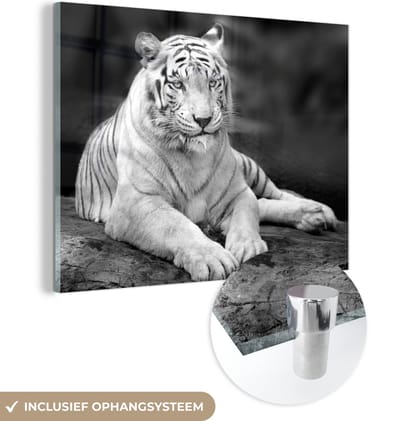 MuchoWow® Glasschilderij 80x60 cm - Schilderij acrylglas - Tijger - Boom - Wit - Zwart - Foto op glas - Schilderijen