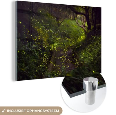 ® Glasschilderij 180x120 cm - Schilderij acrylglas - Grote groep gloeiwormen vliegen door een bos - Foto op glas - Muurdecoratie woonkamer - Wanddecoratie slaapkamer - Schilderijen